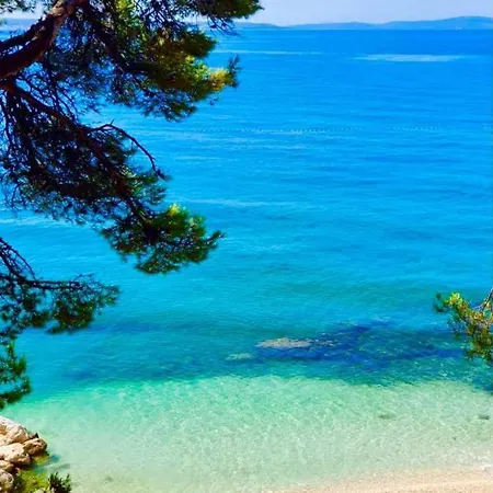 Katicic アパート